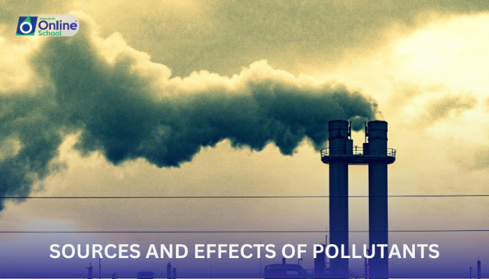 Lesson 06: Sources and Effects of Air Pollutants